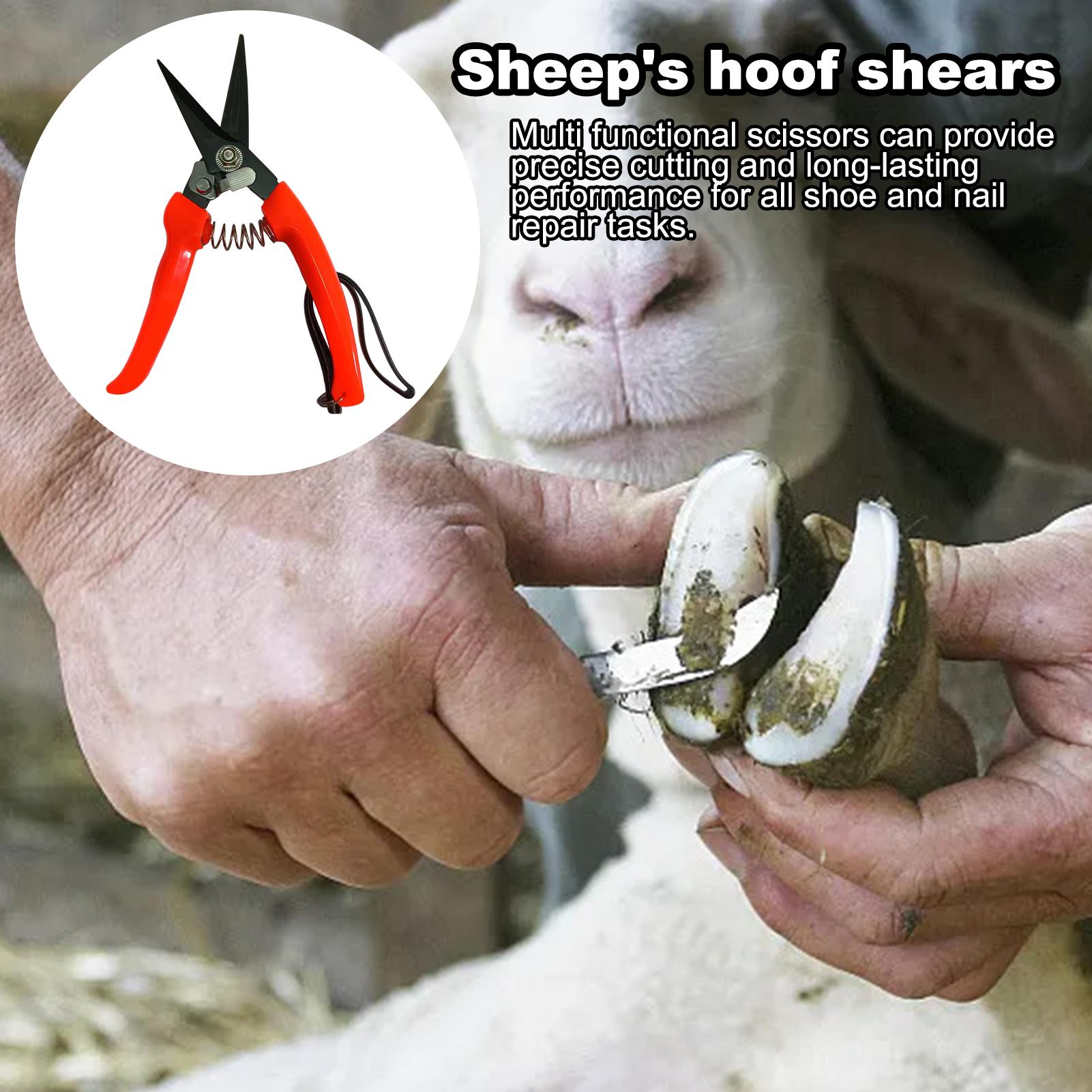 Cortadora de pezuñas ergonómic - Woodworking Horse reseña y precio