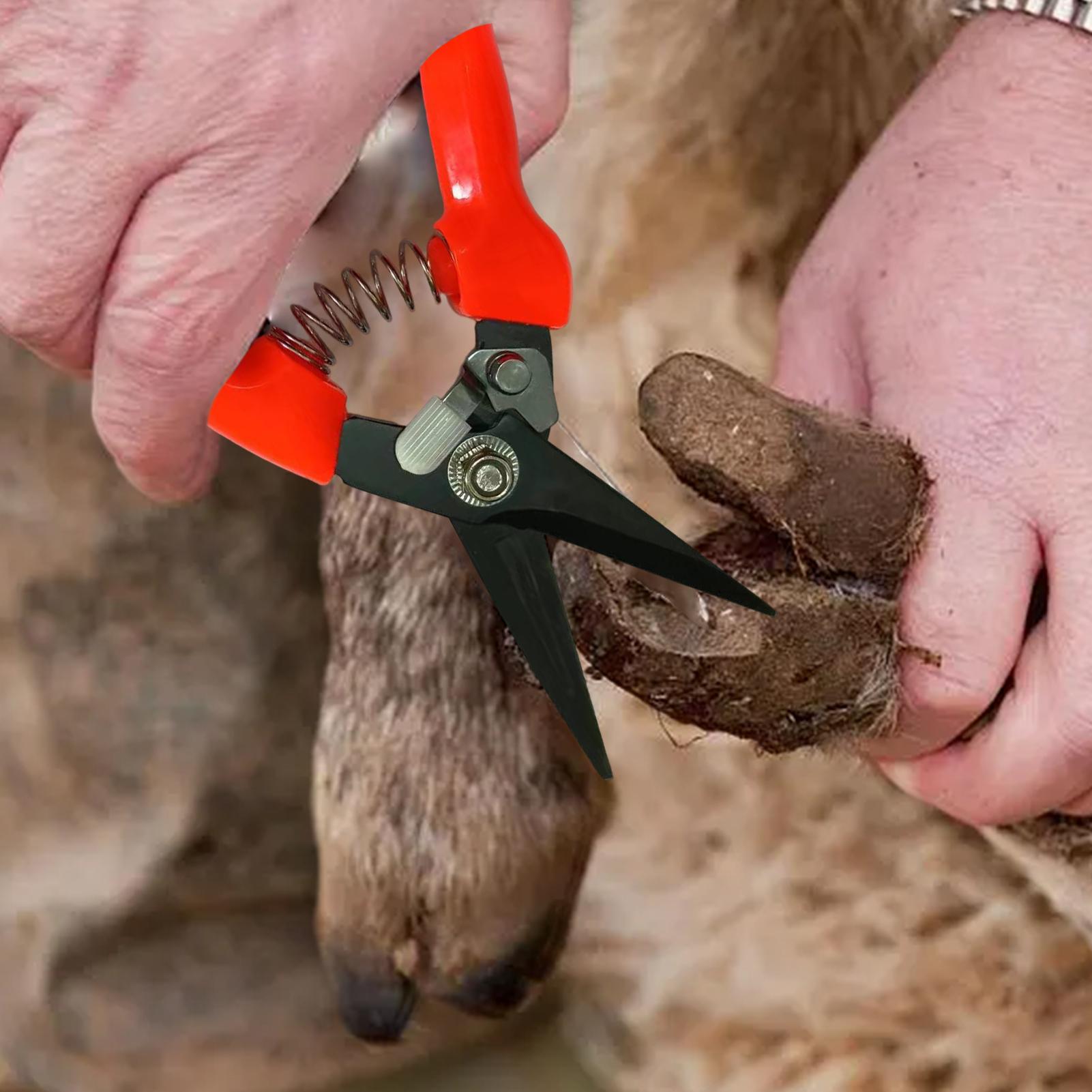 Cortadora de pezuñas ergonómic - Woodworking Horse reseña y precio