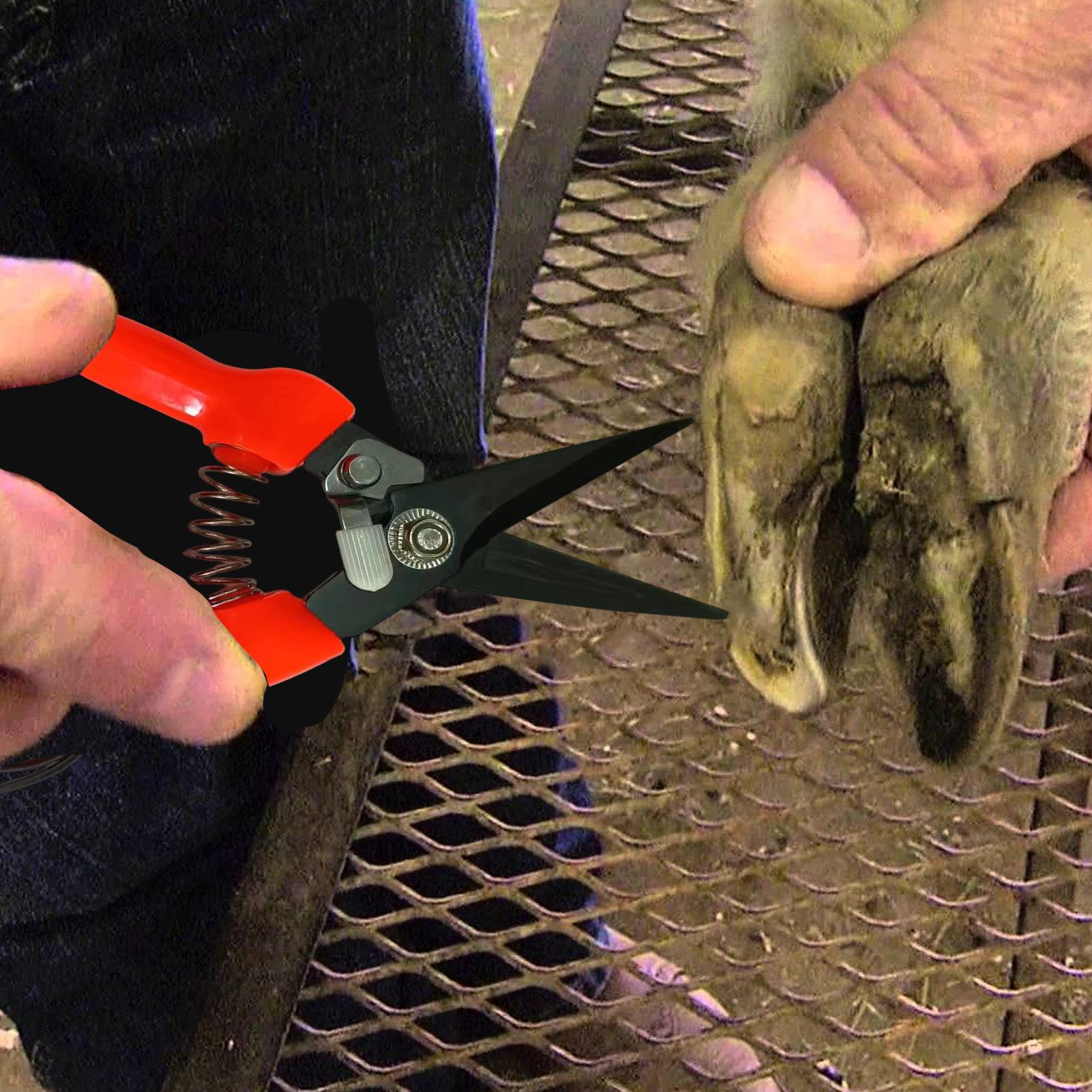 Cortadora de pezuñas ergonómic - Woodworking Horse reseña y precio