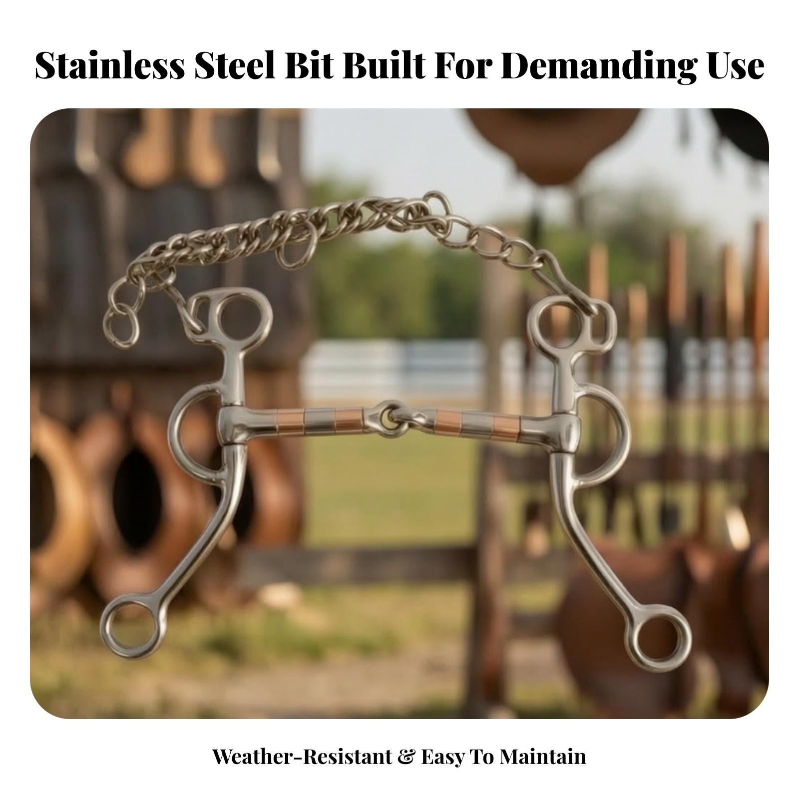 Bocado para caballo con cadena - Woodworking Horse reseña y precio
