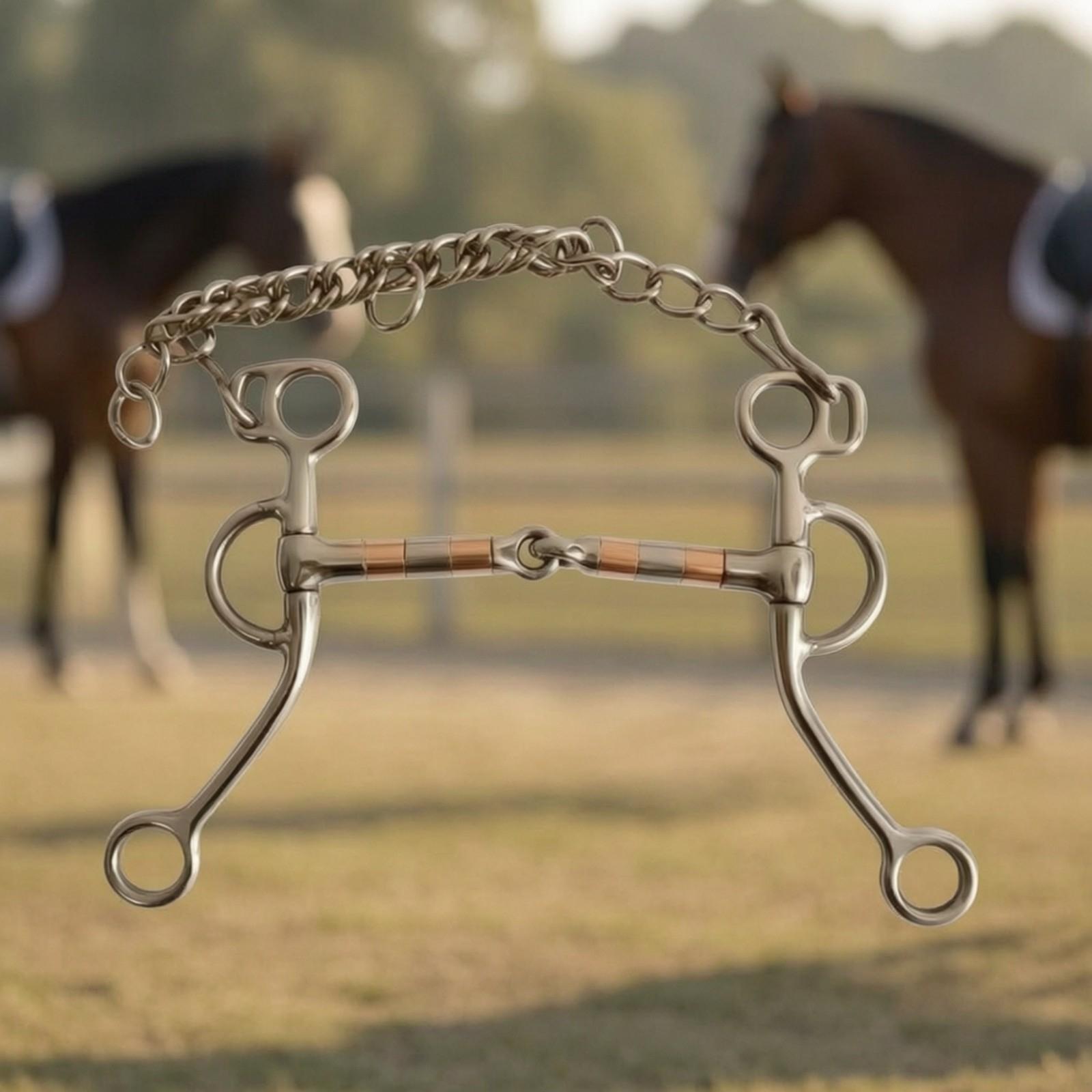 Bocado para caballo con cadena - Woodworking Horse reseña y precio